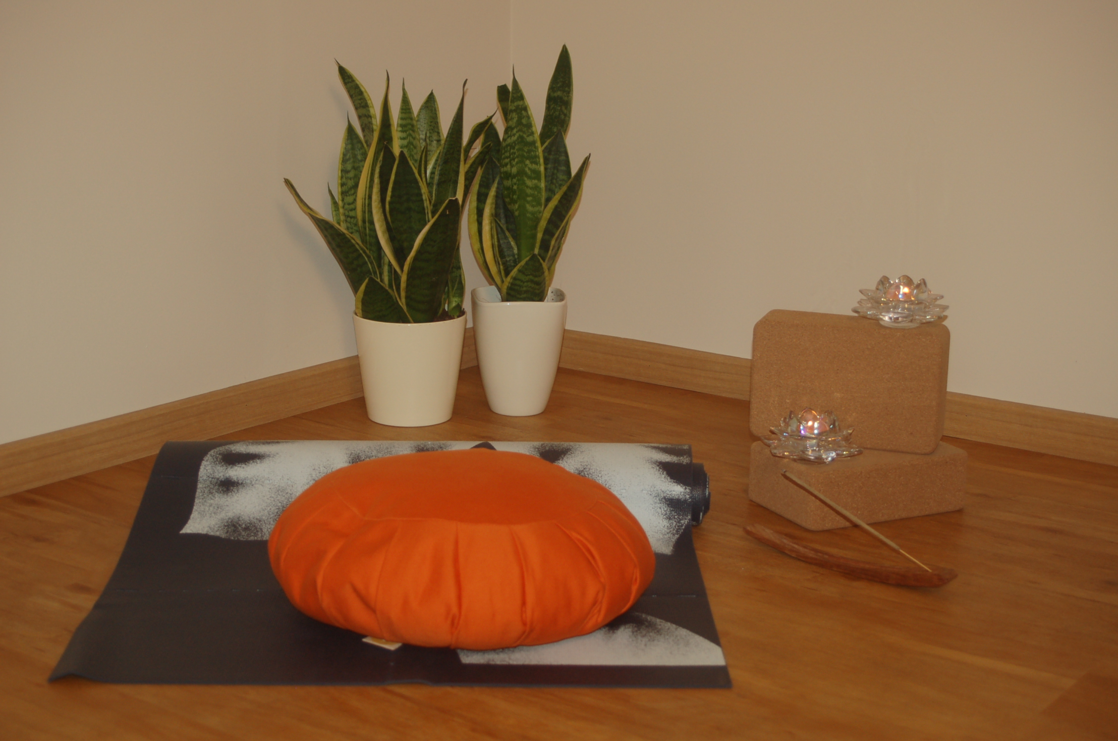 Read more about the article Schnupperstunde am Sonntagvormittag